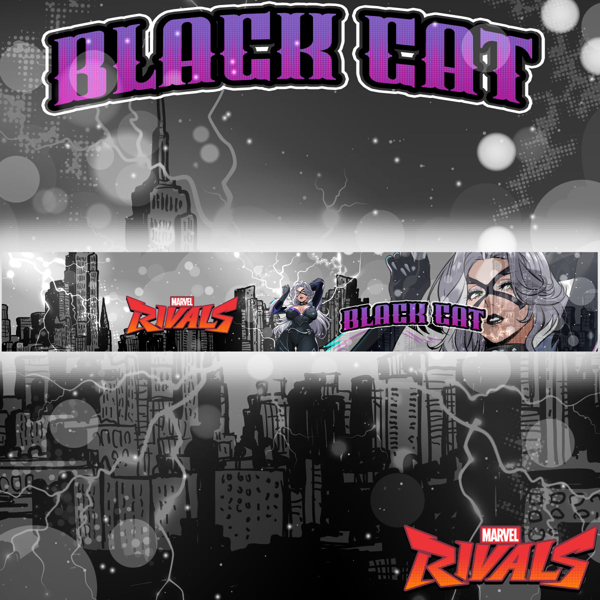 Vehicle Windshield Banner Black Cat