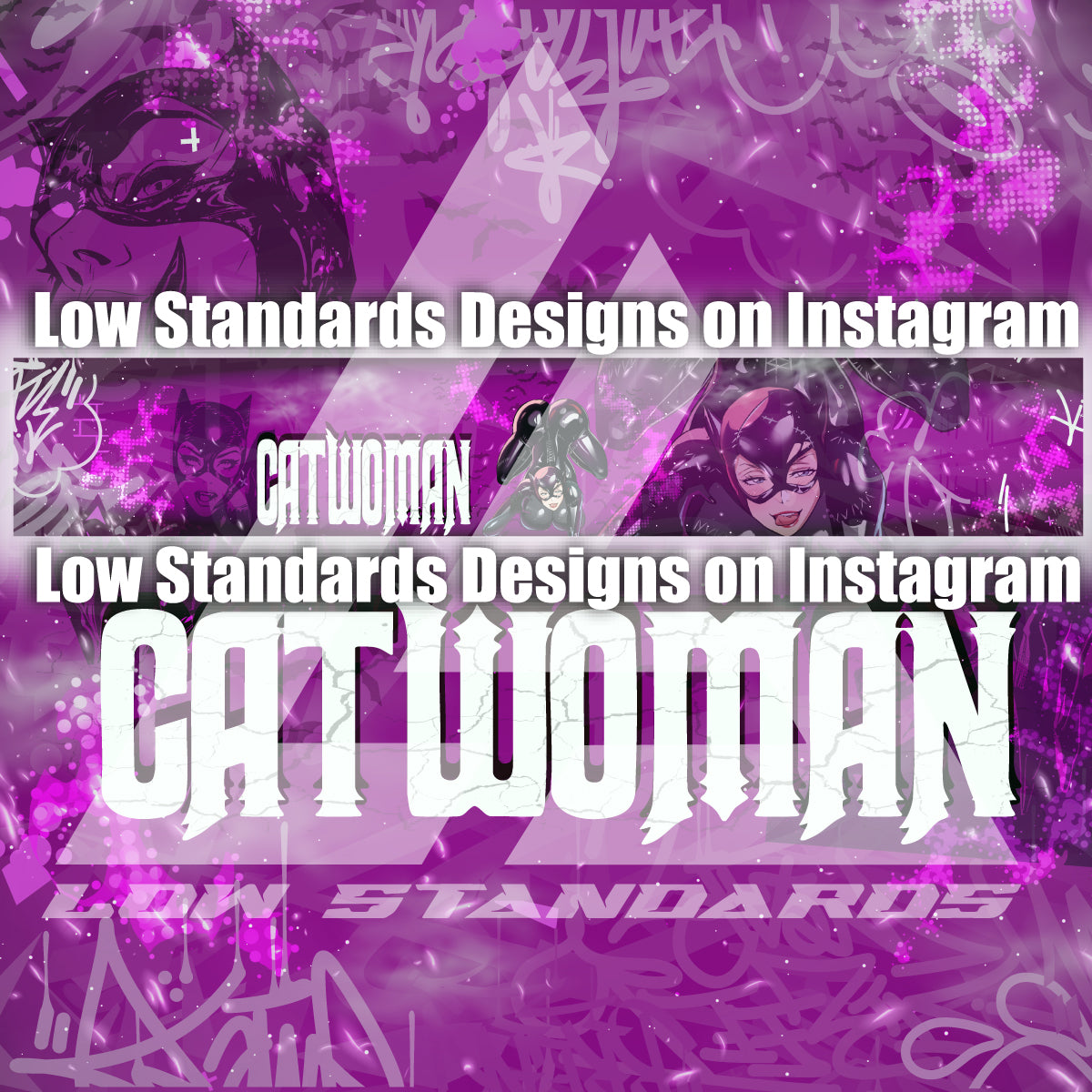 Seductive Catwomen Windshield Banner