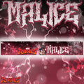 Vehicle Windshield Banner Malice