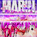 Vehicle Windshield Banner Marin