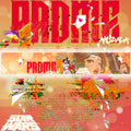 Vehicle Windshield Banner Padme Amidala