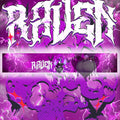 Vehicle Windshield Banner Raven
