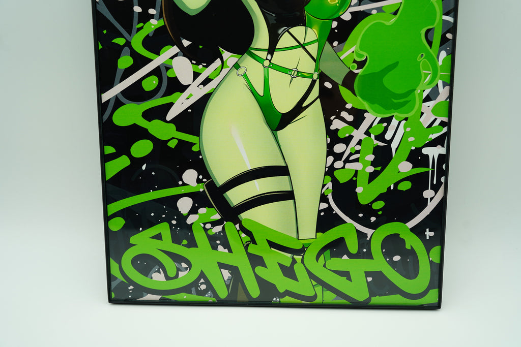 Anime Waifu Shego Poster / Wall Banner