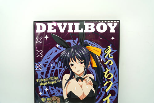 Anime Waifu Akeno Himejima Poster / Wall Banner