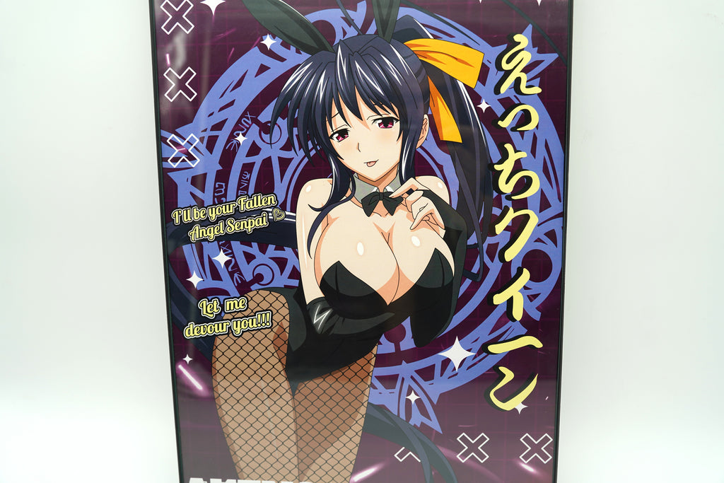 Anime Waifu Akeno Himejima Poster / Wall Banner
